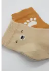 Omarı Yumuşak ve Şık 2li Penye Çorap Seti