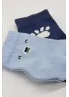 Omarı Rahat ve Trend Bear Soket Çorap Seti - Mavi