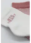 Omarı Yumuşak Dokulu Big Heart Soket Çorap Seti