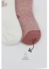 Omarı Penye Soket Çorap Seti - Pudra Renkli