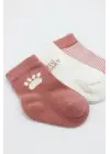 Omarı Penye Soket Çorap Seti - Pudra Renkli