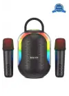 Bluetooth Çift Mikrofonlu Kablosuz Karaoke Rgb Işıklı Yüksek Sesli Müzik 4 Ses Degıstırme