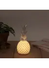 Omarı Ananas Desenli Büyük Boy Pilli Masa Lambası