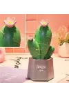Omarı Şık Led Işıklı Kaktüs Biblo Ev Dekorasyonu ve Hediye Fikri