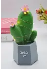 Omarı Şık Led Işıklı Kaktüs Biblo Ev Dekorasyonu ve Hediye Fikri