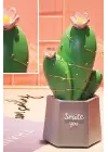Omarı Şık Led Işıklı Kaktüs Biblo Ev Dekorasyonu ve Hediye Fikri