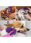 Omarı Otomatik Temizlenebilen Kedi Köpek Tüy Toplama Fırçası
