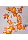 BUFFER® Sonbahar Konseptli Dekoratif Yaprak Desenli Şerit Led Gece Lamabası