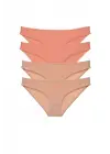 Çarpıcı 4 Adet Kadın Slip Külot