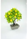 Dekor Ağaç Limon Ağacı Saksılı Dekoratif Ağaç Biblo 24x13 cm