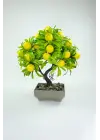 Dekor Ağaç Limon Ağacı Saksılı Dekoratif Ağaç Biblo 24x13 cm