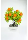 Dekor Ağaç Portakal Ağacı Saksılı Dekoratif Ağaç Biblo 24x13 cm