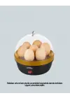 Elektrikli Yumurta Pişirme Makinesi 7 Yumurta Kapasiteli