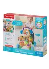 FTG10 Fisher-Price® Eğitici Köpekçik Yürüteç /Türkçe