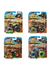 FYJ44 Hot Wheels, Monster Trucks 1:64 Arabalar