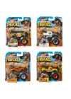 FYJ44 Hot Wheels, Monster Trucks 1:64 Arabalar