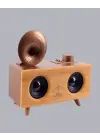 Gramafon Tasarımlı Bluetooth Hoparlör 3d Ses Teknolojili Çok Fonksiyonlu