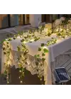 Güneş Enerjili Sarmaşık Led Dekor 5 Metre