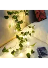 Güneş Enerjili Sarmaşık Led Dekor 5 Metre