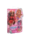 HYC23 Barbie Dream Besties - Teresa