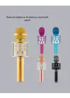 Kablosuz Bluetooth Karaoke Mikrofon  Yankı Efektli