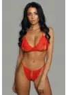 Omarı Dantel Detaylı Kırmızı Seksi Sütyen Takımı