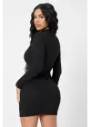Omarı Siyah Balıkçı Yaka Uzun Kollu Mini Elbise
