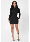 Omarı Siyah Balıkçı Yaka Uzun Kollu Mini Elbise
