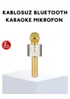 Karaoke Mikrofonu Bluetooth Usb Aux Girişli Yankı Efektli