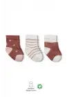 Omarı Penye Kız Çocuk Soket Çorap Seti Pudra Renkli