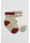 Omarı Sevimli Desenli Penye Soket Çorap Seti - Bej