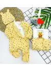 Omarı Unisex Pooh Desenli 3lü Bebek Tulum Seti