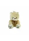 PABX21957-20 Peluş Ayı Kurdelalı 20 cm -Vardem