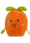 Peluş Meyveler 30 cm - Havuç