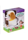 PFT-B019 Yürüyen Tasmalı Peluş Köpek