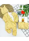 Omarı Unisex Pooh Desenli 3lü Bebek Tulum Seti