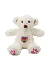 Omarı Renkli Kalpli Peluş Ayı 30 cm Boyunda