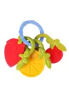 Omarı Renkli Meyve Dişlik - Bebeğiniz İçin Eğlenceli Diş Kaşıyıcı