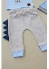 Omarı Minik Dino Nakışlı Bebek Sweat Takımı Mavi