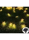 Solar 8 Fonksiyonlu 7 Metre 30 Yıldız Led