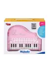 Omarı Mikrofonlu Mini Piano MP3 Çalar