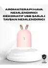 Ultrasonik Hava Nemlendirici 200 Ml Aroma Difüzör Led Işıklı Sessiz