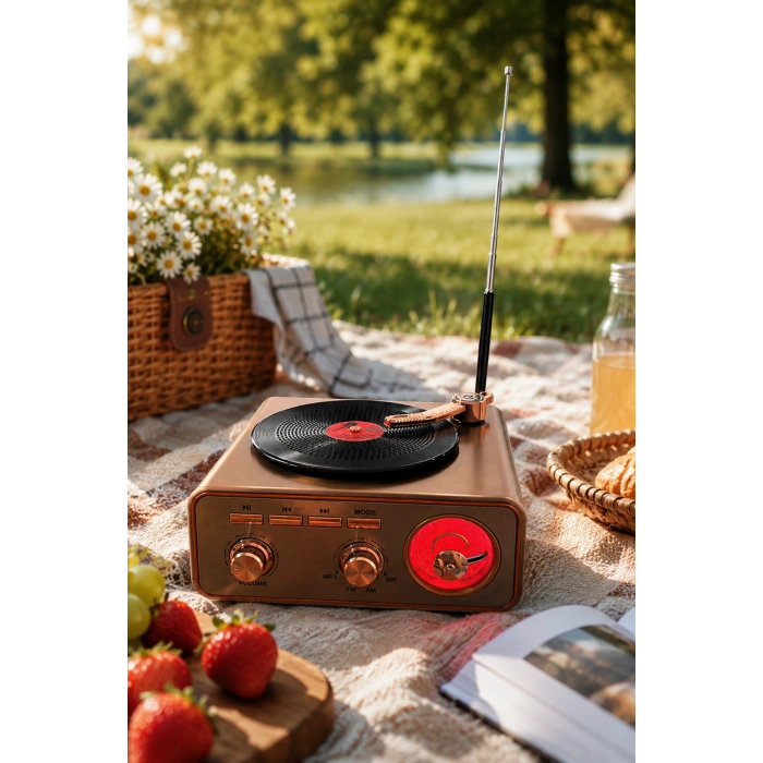 Meier MD-1217BT Kahverengi Nostaljik Görünümlü Bluetooth Hoparlör ve 3 Bantlı Şarjlı Radyo