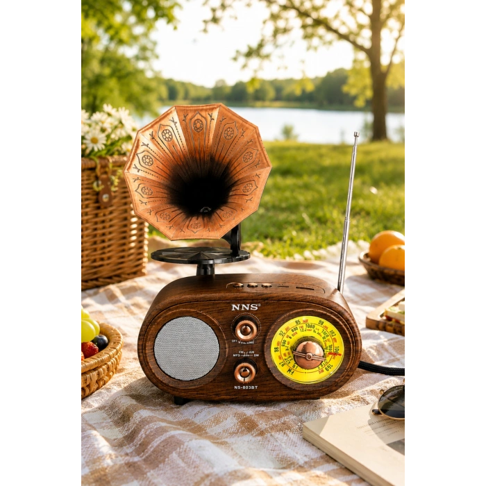 NNS NS-803BT Kahverengi Retro Radyo Bluetooth Hoparlör USB TF Kart Şarjlı Nostaljik Radyo