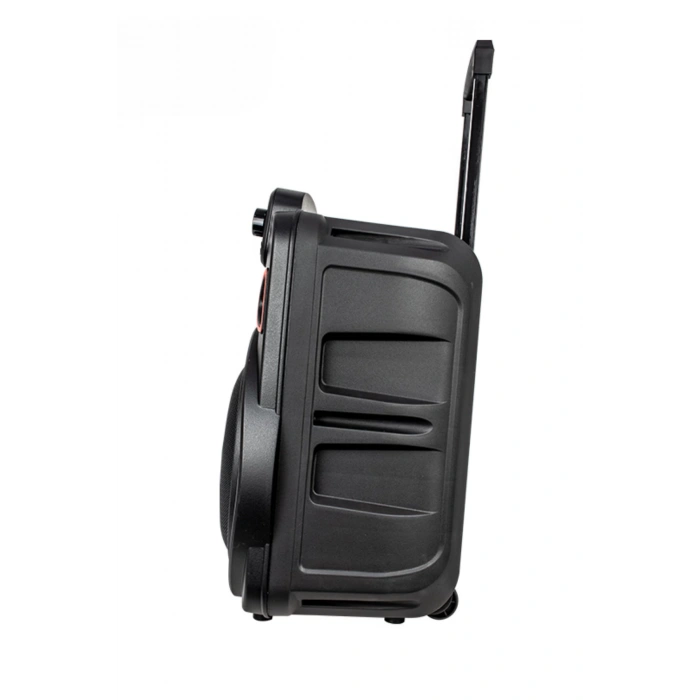 Acl Acs-2 30W Taşınabilir TWS Kablosuz PartyBox Hoparlör | RGB Işık, Bluetooth, Kumanda ve Mikrofon Destekli