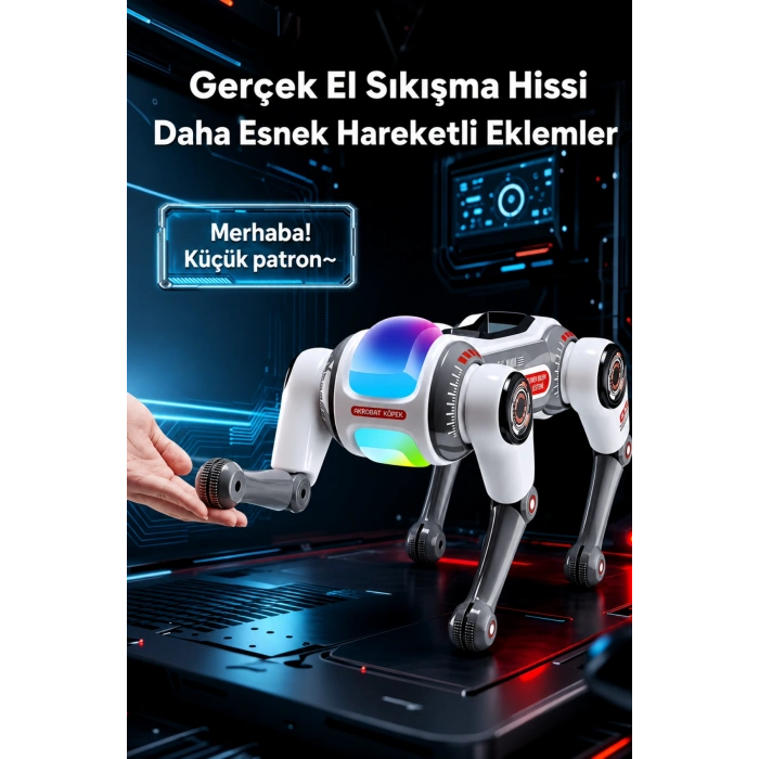 Blic BRB1 Akıllı Robot Köpek 2.4GHz Uzaktan Kumandalı Sesli Komutlu RGB Işıklı ve Akrobatik Eğitici