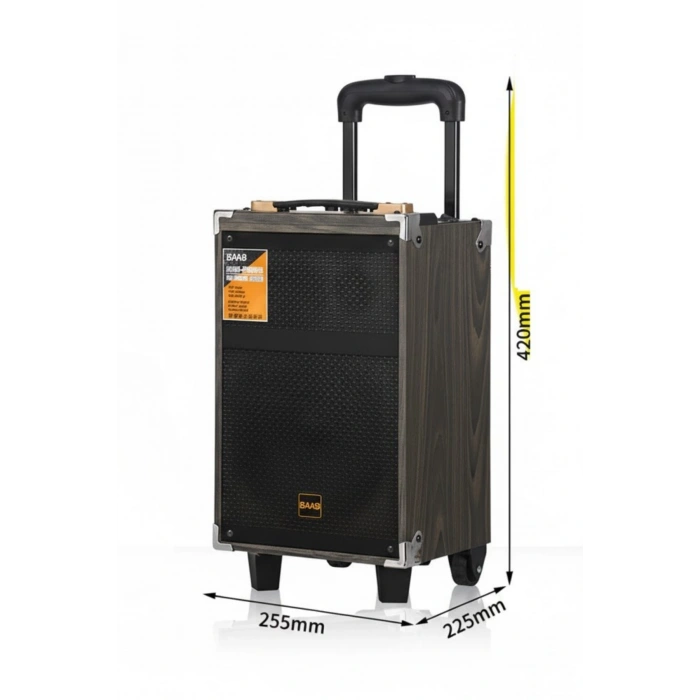 Hepu Hp-903 Partybox Bluetooth Hoparlör 8 Woofer 40W Güç 1 Kablosuz Mikrofon Kumanda