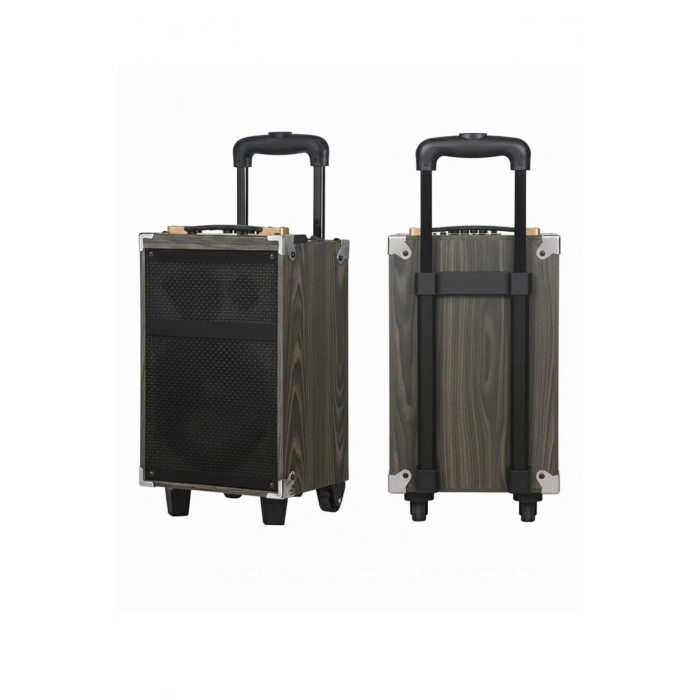 Hepu Hp-904 Partybox Bluetooth Hoparlör 12 Woofer 40W Güç 1 Kablosuz Mikrofon Kumanda