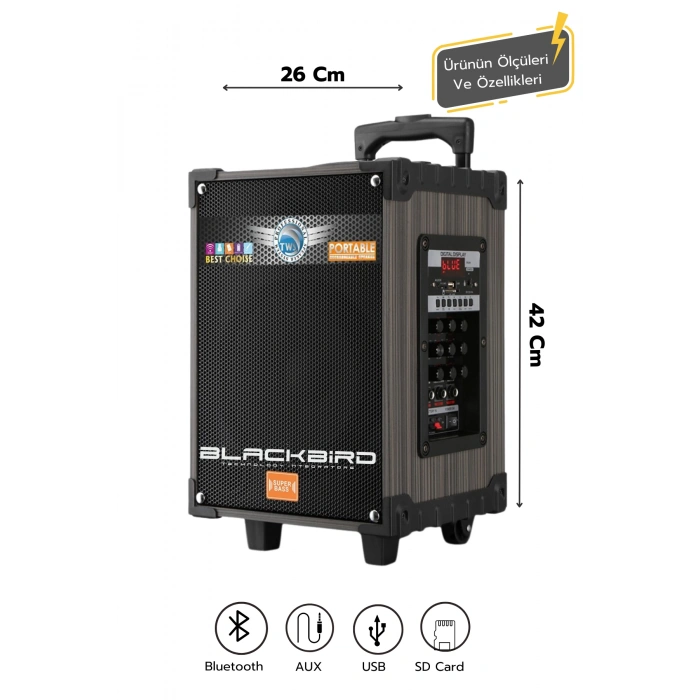 Hepu Hp-924 Taşınabilir Şarjlı 8 İnç 40W Bluetooth Hoparlör