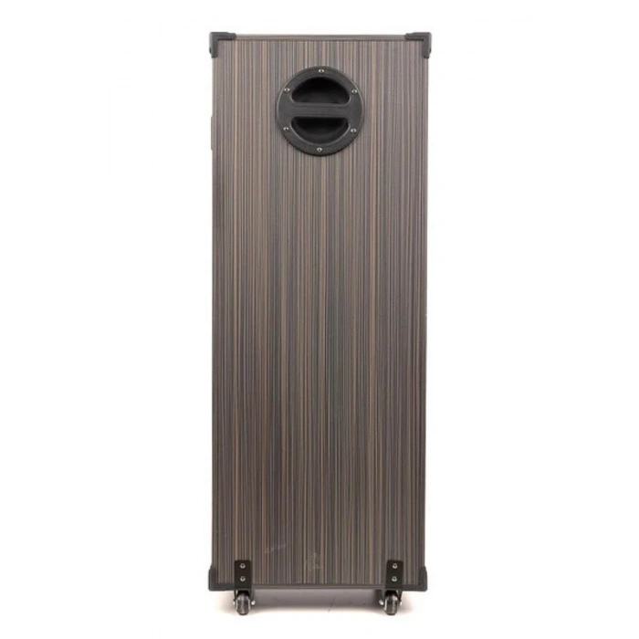 Hepu Hp-933 100W 2 Bluetooth Mikrofonlu Büyük Boy Parti Hoparlörü